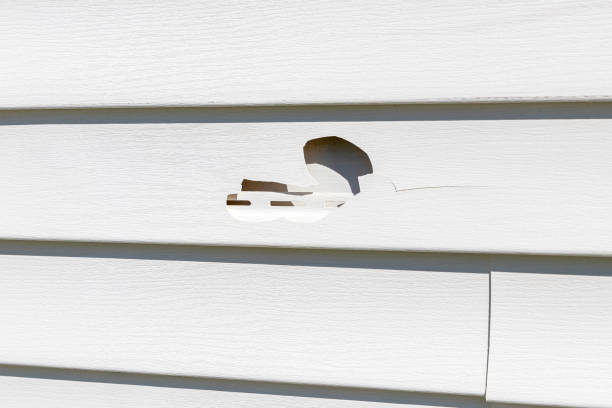 Best Custom Siding Design  in South Bend, IN