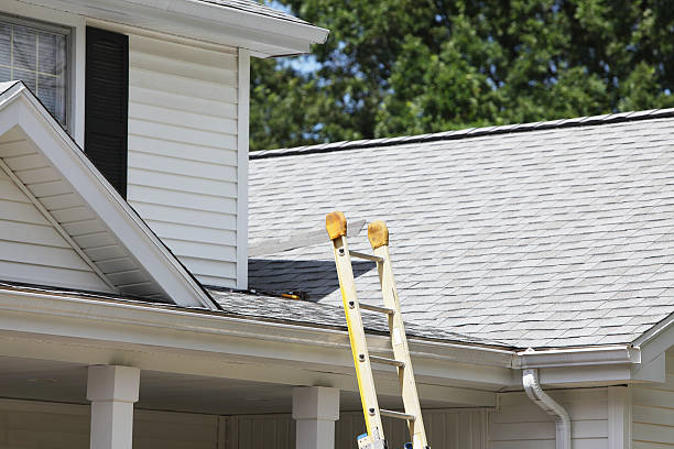 Best Insulated Siding Installation  in South Bend, IN